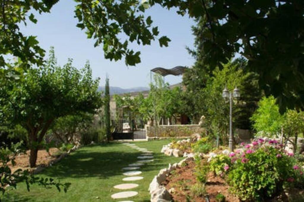 Olive House Traditional Villa With Pool Sitia  Bagian luar foto